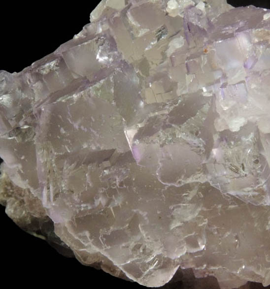 Fluorite from Mile Hi Rock and Mineral Society (RAMS) Claim, Lake George District, Park County, Colorado