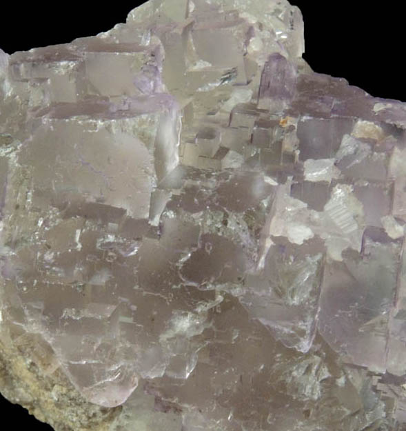 Fluorite from Mile Hi Rock and Mineral Society (RAMS) Claim, Lake George District, Park County, Colorado