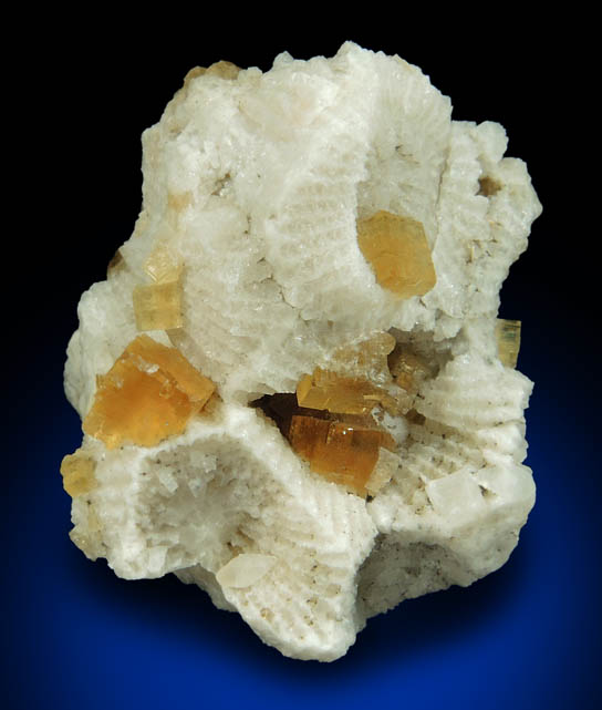 Fluorite on fossilized Coral from Pint's Quarry, Raymond, Black Hawk County, Iowa