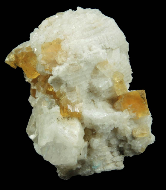 Fluorite on fossilized Coral from Pint's Quarry, Raymond, Black Hawk County, Iowa