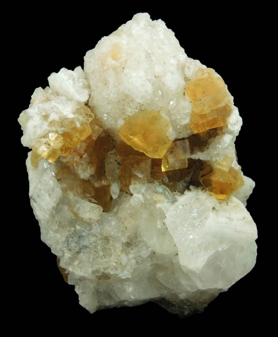 Fluorite on fossilized Coral from Pint's Quarry, Raymond, Black Hawk County, Iowa