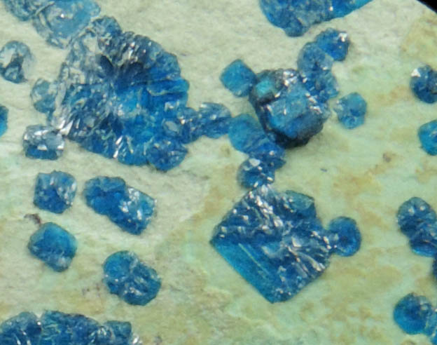 Cornetite from L'Etoile du Congo Mine, Lubumbashi, Katanga Copperbelt, Haut-Katanga Province, Democratic Republic of the Congo (Type Locality for Cornetite)