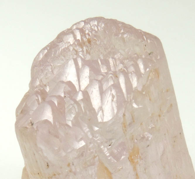 Spodumene var. Kunzite from Mawi Pegmatite, Nuristan, Afghanistan