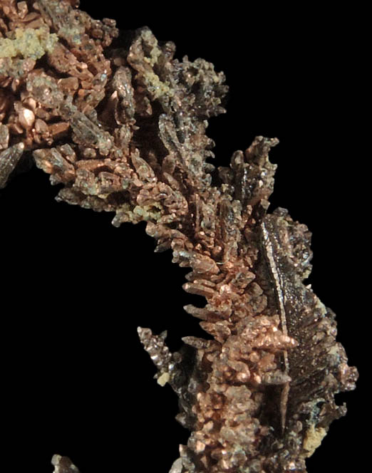 Copper (naturally crystallized native copper) from Tsumeb Mine, Otavi-Bergland District, Oshikoto, Namibia