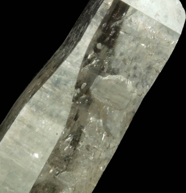 Quartz with negative crystal cavities and inclusions from Biedell Creek Quartz Prospects, Crystal Hill, 12.5 km northwest of La Garita, Saguache County, Colorado