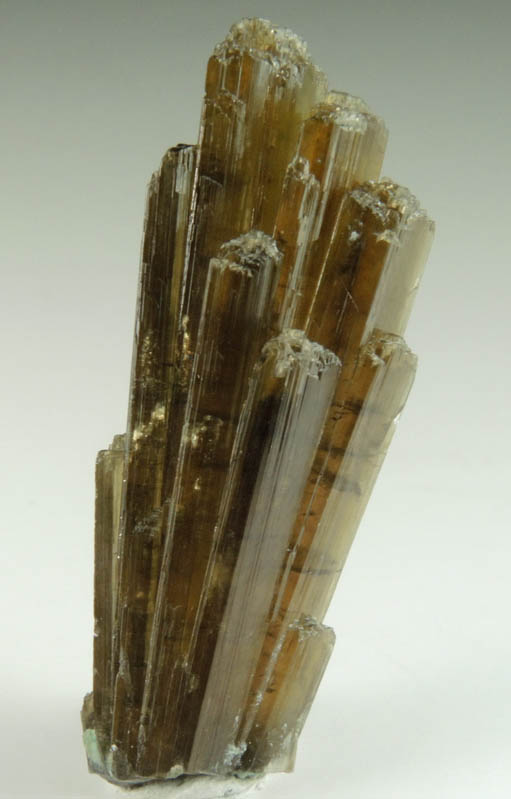 Clinozoisite from Belvidere Mountain Quarries, Lowell (commonly called Eden Mills), Orleans County, Vermont