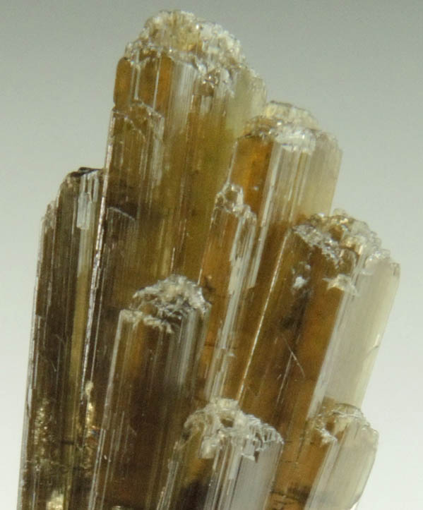 Clinozoisite from Belvidere Mountain Quarries, Lowell (commonly called Eden Mills), Orleans County, Vermont