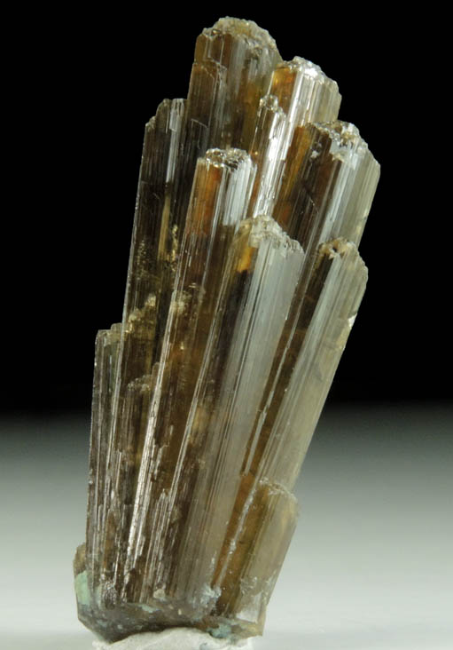Clinozoisite from Belvidere Mountain Quarries, Lowell (commonly called Eden Mills), Orleans County, Vermont