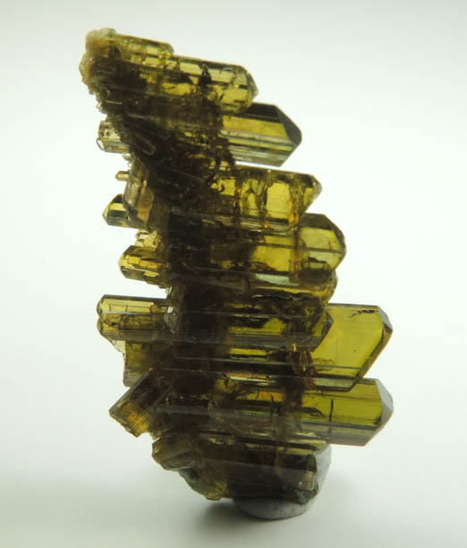 Epidote from Tormiq area, northwest of Skardu, Haramosh Mountains, Baltistan, Gilgit-Baltistan, Pakistan