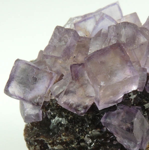 Fluorite on Sphalerite from Elmwood Mine, Carthage, Smith County, Tennessee