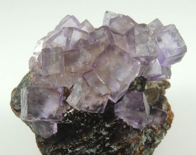 Fluorite on Sphalerite from Elmwood Mine, Carthage, Smith County, Tennessee