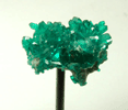 Dioptase from Tsumeb Mine, Otavi-Bergland District, Oshikoto, Namibia