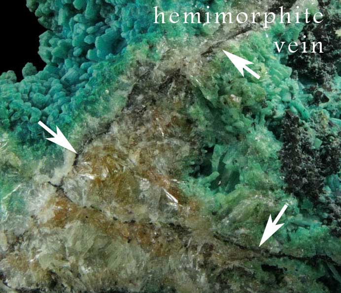 Chrysocolla pseudomorphs after bladed Hemimorphite from 79 Mine, Banner District, near Hayden, Gila County, Arizona