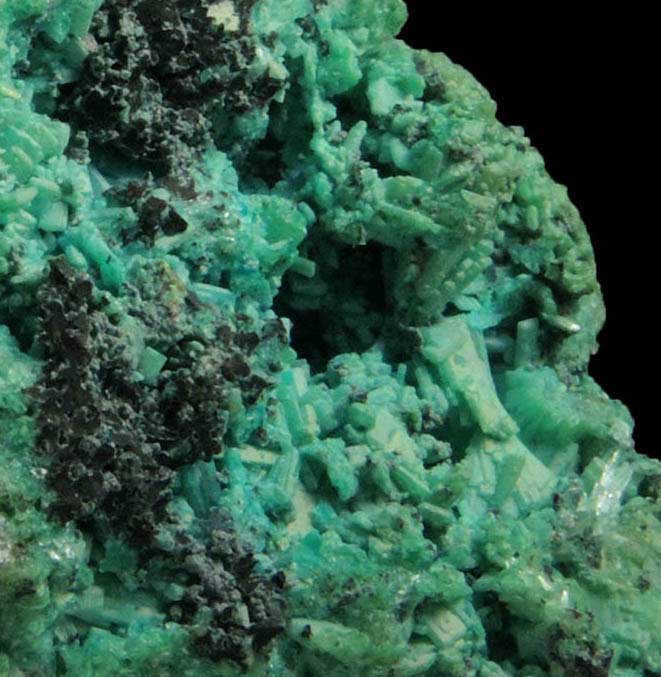 Chrysocolla pseudomorphs after bladed Hemimorphite from 79 Mine, Banner District, near Hayden, Gila County, Arizona