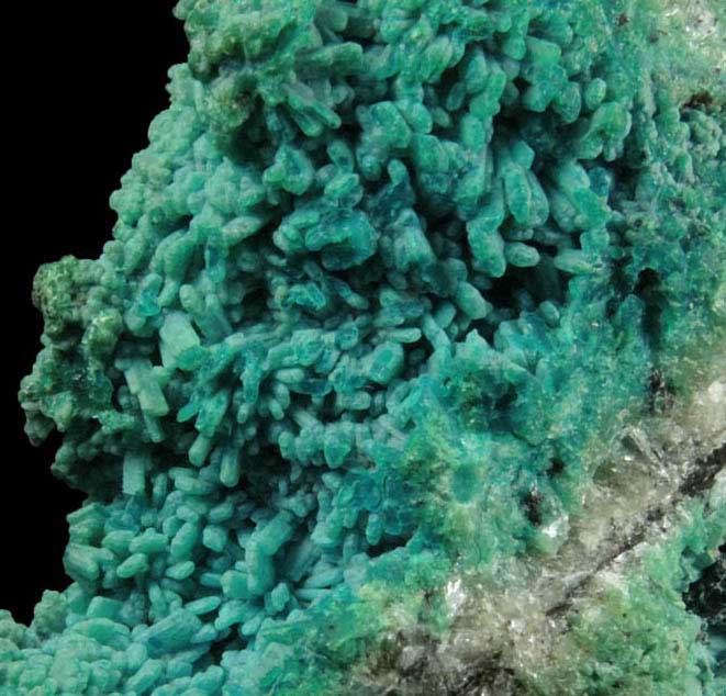 Chrysocolla pseudomorphs after bladed Hemimorphite from 79 Mine, Banner District, near Hayden, Gila County, Arizona