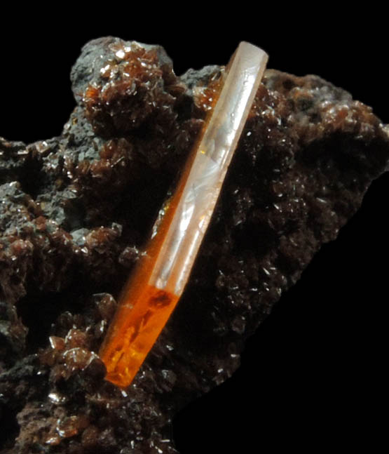 Wulfenite from Sierra de Los Lamentos, Chihuahua, Mexico