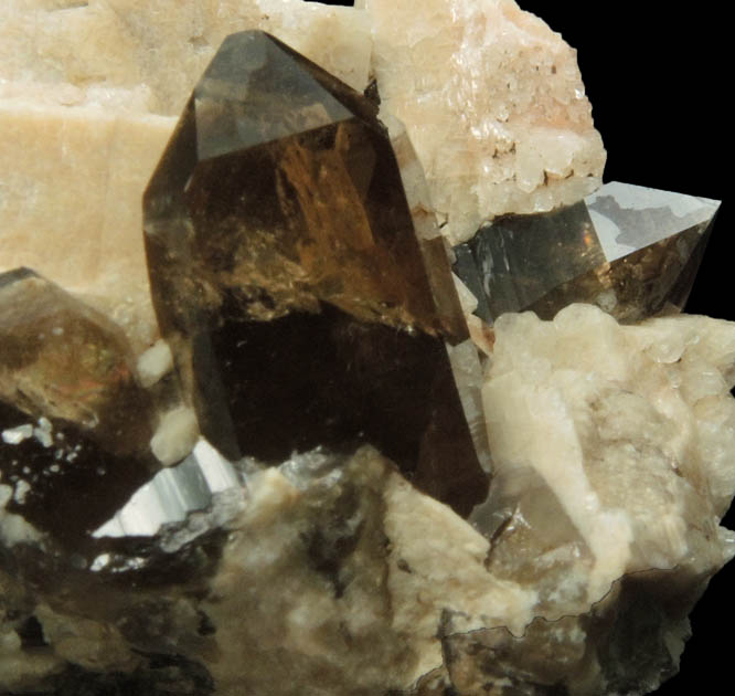 Quartz var. Smoky Quartz with Albite on Microcline from Ossipee Gulch (Raccoon Gulch), Folsom Brook, Center Ossipee, Carroll County, New Hampshire