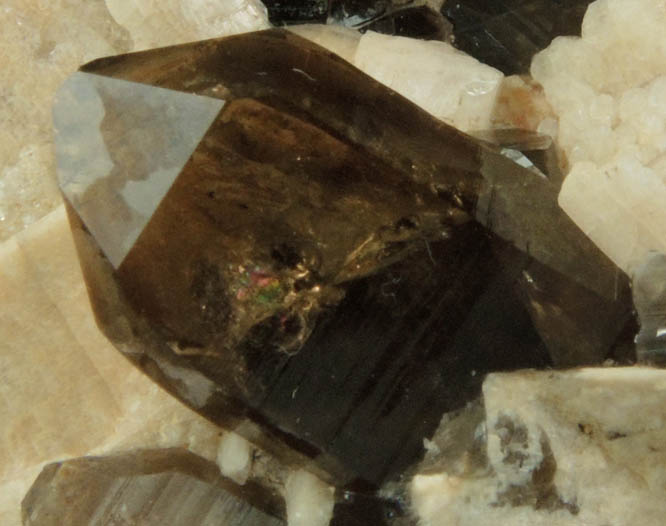 Quartz var. Smoky Quartz with Albite on Microcline from Ossipee Gulch (Raccoon Gulch), Folsom Brook, Center Ossipee, Carroll County, New Hampshire