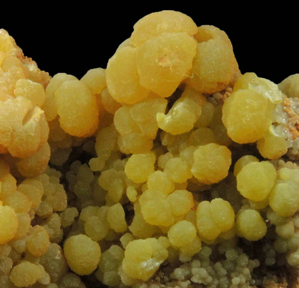 Mimetite from San Pedro Corralitos, Casas Grandes, Chihuahua, Mexico