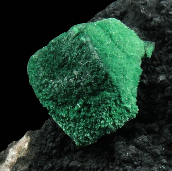 Malachite pseudomorph after Azurite from New Cornelia Mine, Ajo, Pima County, Arizona