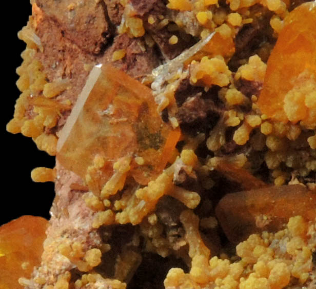 Wulfenite with Mimetite from Rowley Mine, 20 km northwest of Theba, Painted Rock Mountains, Maricopa County, Arizona