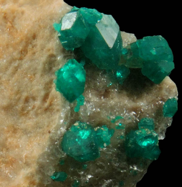 Dioptase from Altyn-Tyube, 66 km east of Karagandy, Karaganda Oblast', Kazakhstan (Type Locality for Dioptase)