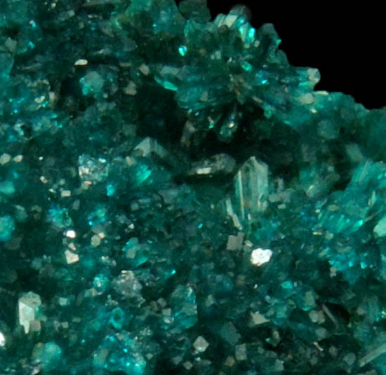 Dioptase from Morenci Mine, Clifton District, Greenlee County, Arizona