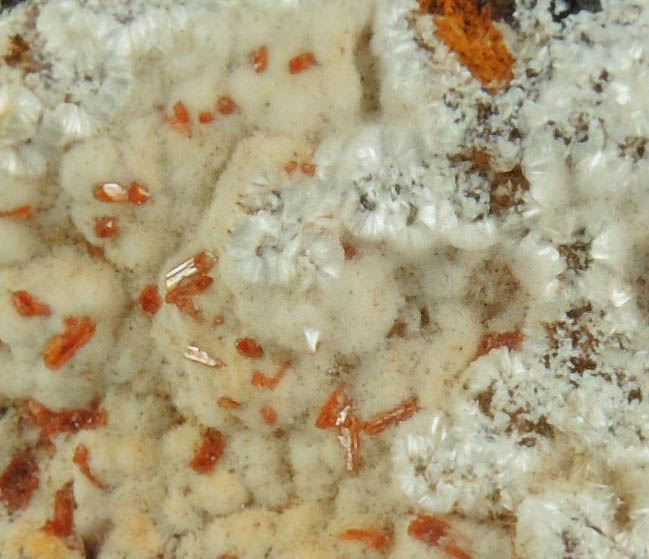 Dundasite and Crocoite from Dundas, Zeehan District, Tasmania, Australia