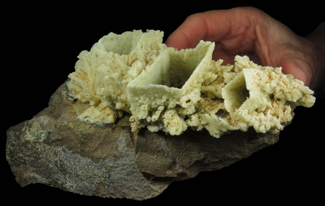 Prehnite pseudomorphs after Anhydrite from Upper New Street Quarry, Paterson, Passaic County, New Jersey