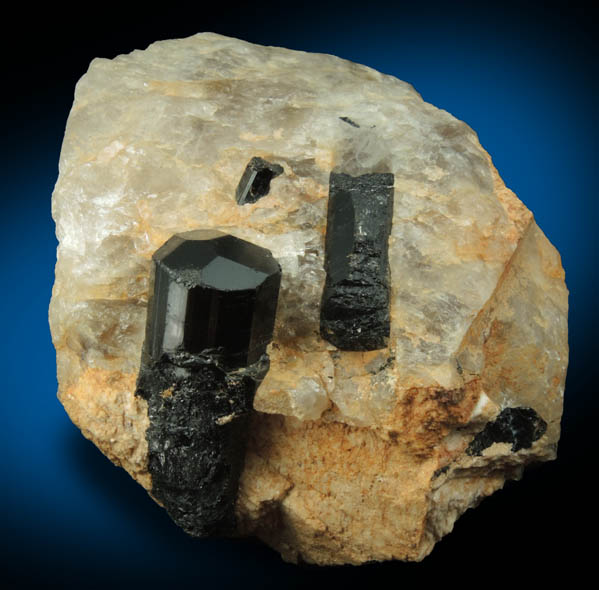 Schorl Tourmaline in Quartz from Bald Mountain road cut, 9200' elevation, north of Idaho Springs, Clear Creek County, Colorado