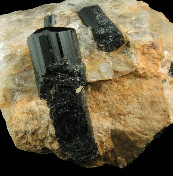 Schorl Tourmaline in Quartz from Bald Mountain road cut, 9200' elevation, north of Idaho Springs, Clear Creek County, Colorado