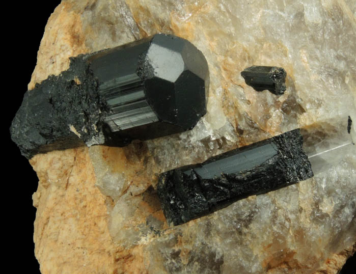 Schorl Tourmaline in Quartz from Bald Mountain road cut, 9200' elevation, north of Idaho Springs, Clear Creek County, Colorado