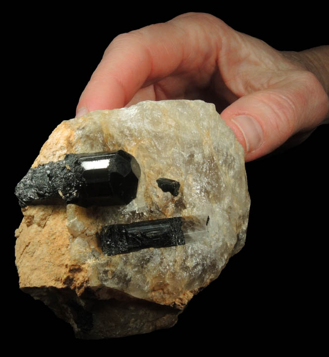 Schorl Tourmaline in Quartz from Bald Mountain road cut, 9200' elevation, north of Idaho Springs, Clear Creek County, Colorado