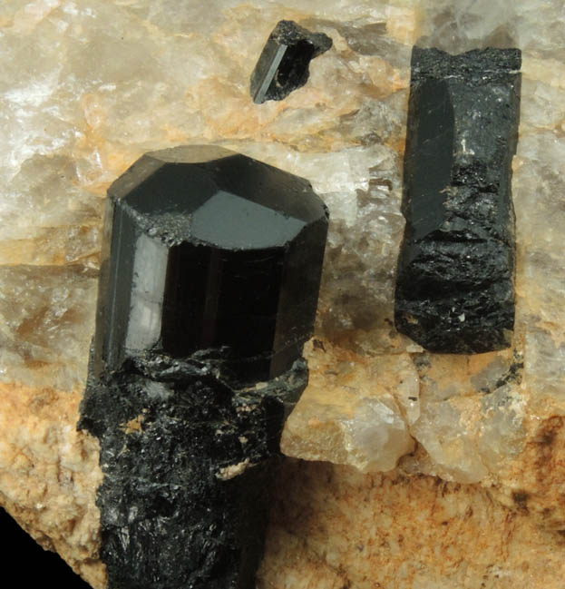 Schorl Tourmaline in Quartz from Bald Mountain road cut, 9200' elevation, north of Idaho Springs, Clear Creek County, Colorado