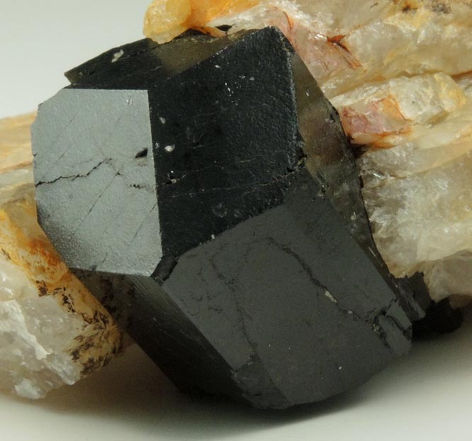 Schorl Tourmaline in Quartz from Bald Mountain road cut, 9200' elevation, north of Idaho Springs, Clear Creek County, Colorado