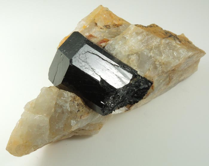 Schorl Tourmaline in Quartz from Bald Mountain road cut, 9200' elevation, north of Idaho Springs, Clear Creek County, Colorado