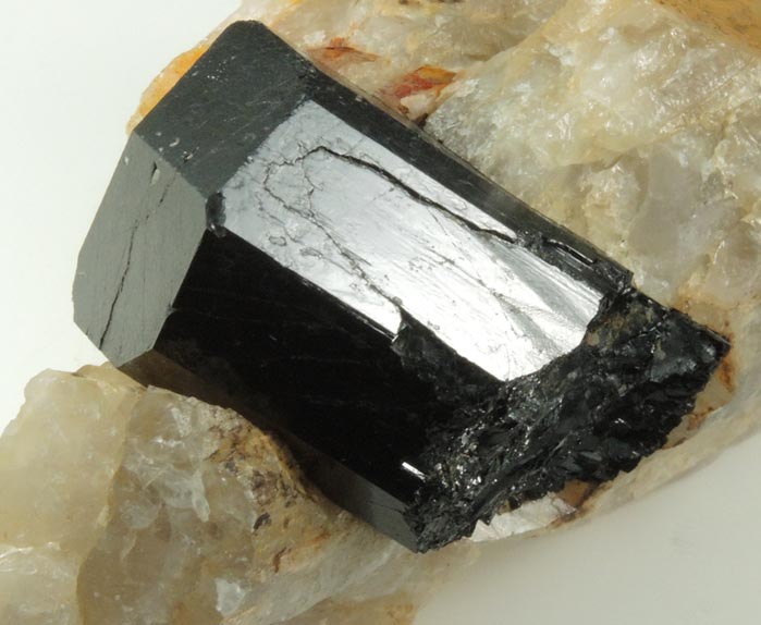 Schorl Tourmaline in Quartz from Bald Mountain road cut, 9200' elevation, north of Idaho Springs, Clear Creek County, Colorado