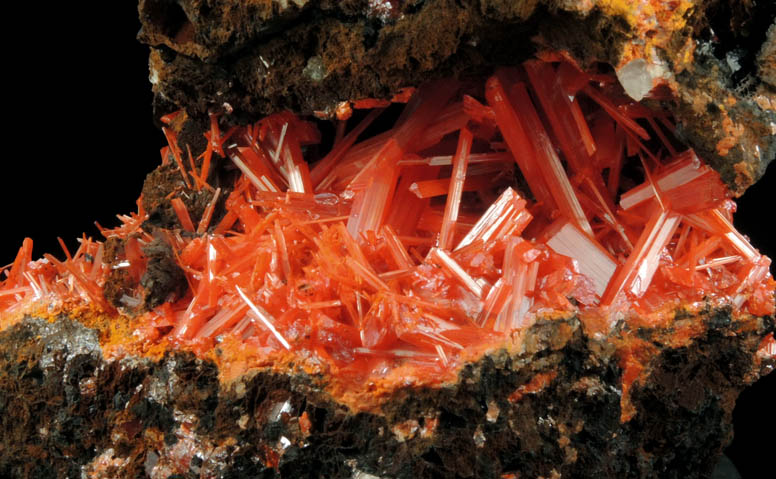 Crocoite from Red Lead Mine, Dundas, Tasmania, Australia