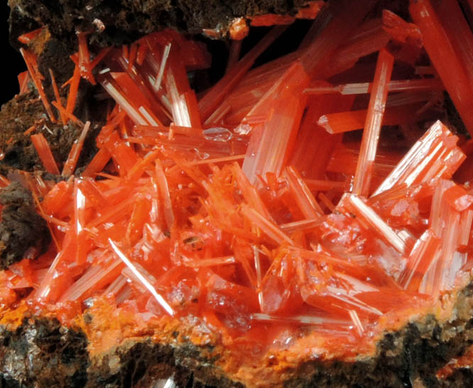 Crocoite from Red Lead Mine, Dundas, Tasmania, Australia