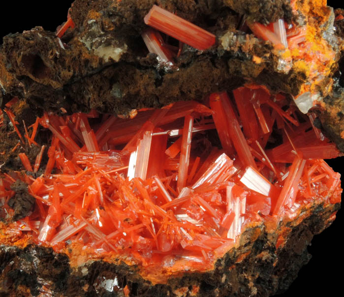 Crocoite from Red Lead Mine, Dundas, Tasmania, Australia