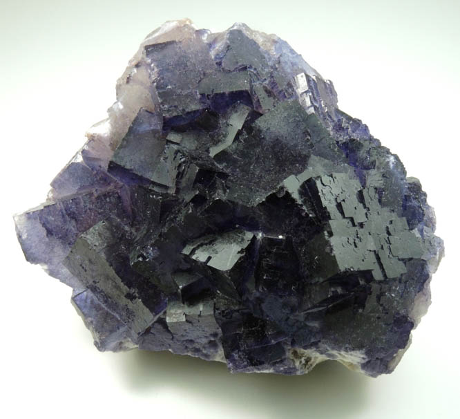 Fluorite from Mina el Tule, Melchor Mzquiz, Coahuila, Mexico