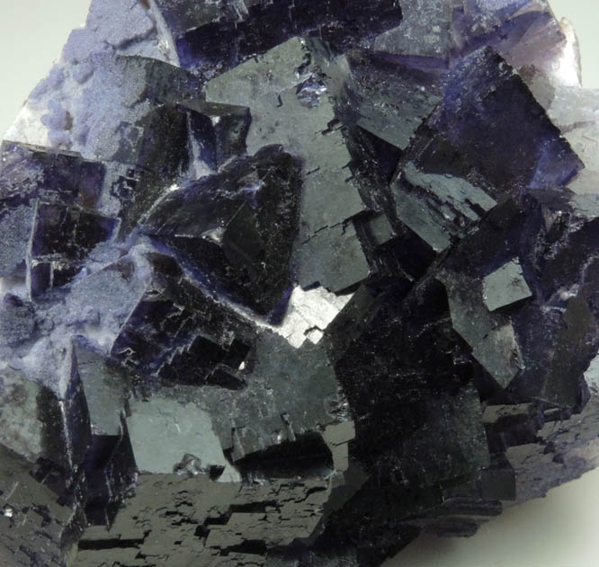 Fluorite from Mina el Tule, Melchor Múzquiz, Coahuila, Mexico