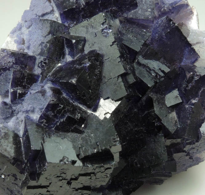 Fluorite from Mina el Tule, Melchor Mzquiz, Coahuila, Mexico