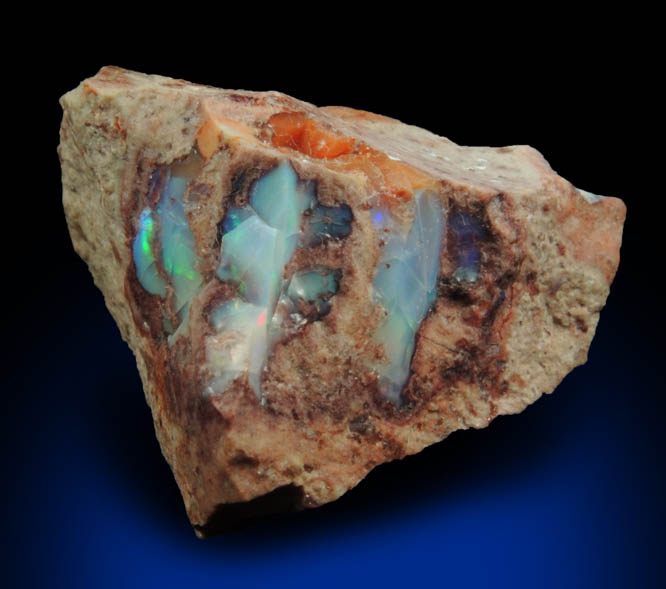 Opal var. Boulder Opal from Queensland, Australia