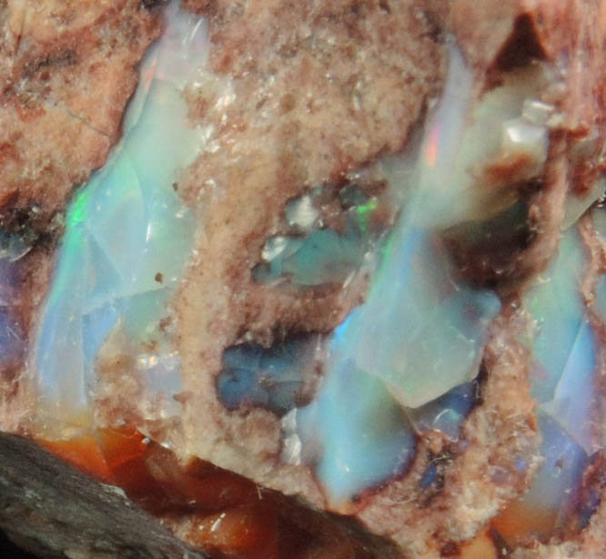 Opal var. Boulder Opal from Queensland, Australia