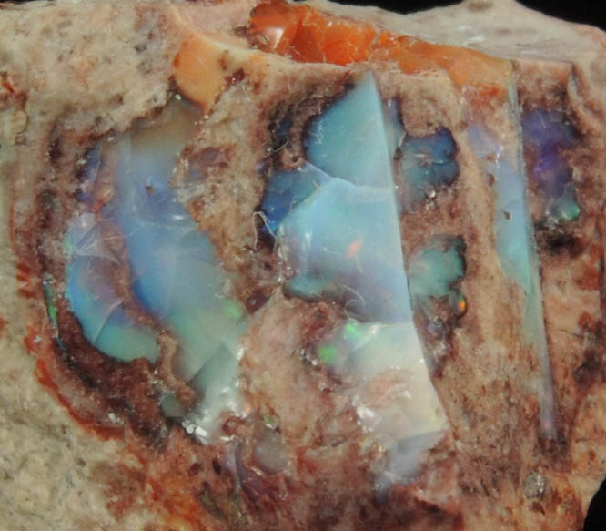 Opal var. Boulder Opal from Queensland, Australia