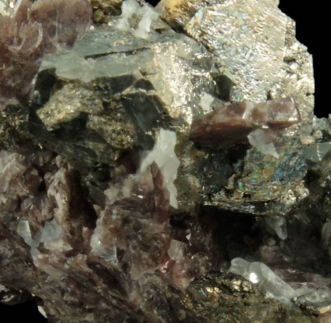 Axinite-(Fe), Arsenopyrite, Quartz from Colebrook Hill, Rosebery District, Tasmania, Australia