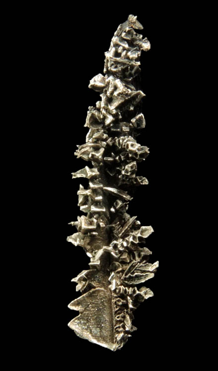 Silver (naturally crystallized twinned native silver) from Elura Mine, Cobar, New South Wales, Australia