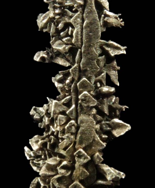 Silver (naturally crystallized twinned native silver) from Elura Mine, Cobar, New South Wales, Australia