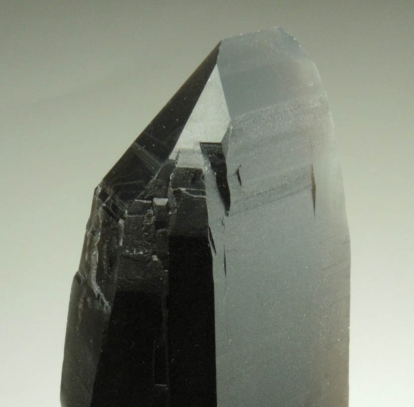 Quartz var. Smoky Quartz on Microcline var. Amazonite from Smoky Hawk Mine, Foretell Pocket, Florissant, Teller County, Colorado